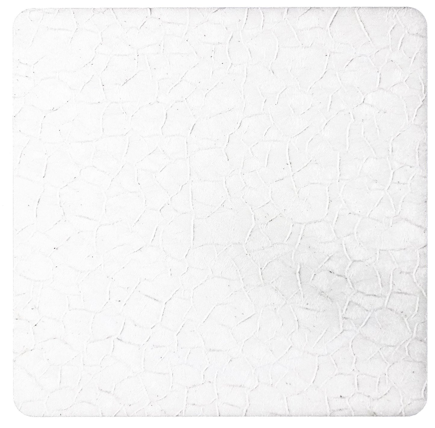 Coaster Square-Saltlake