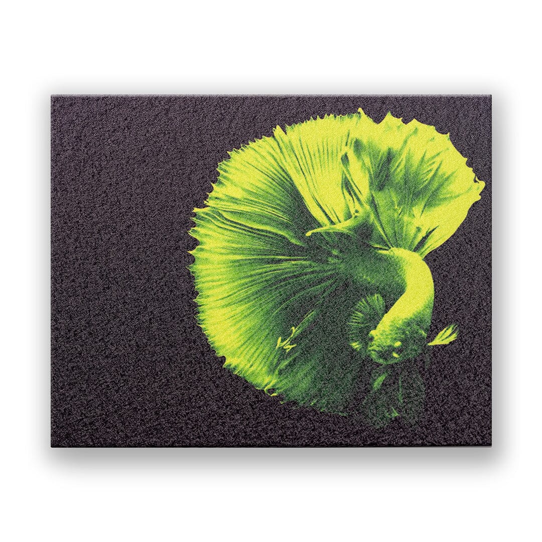 Duraluxe Sample Pack - Printed