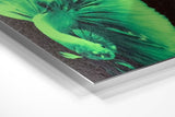 80x70 Duraluxe-Paneele